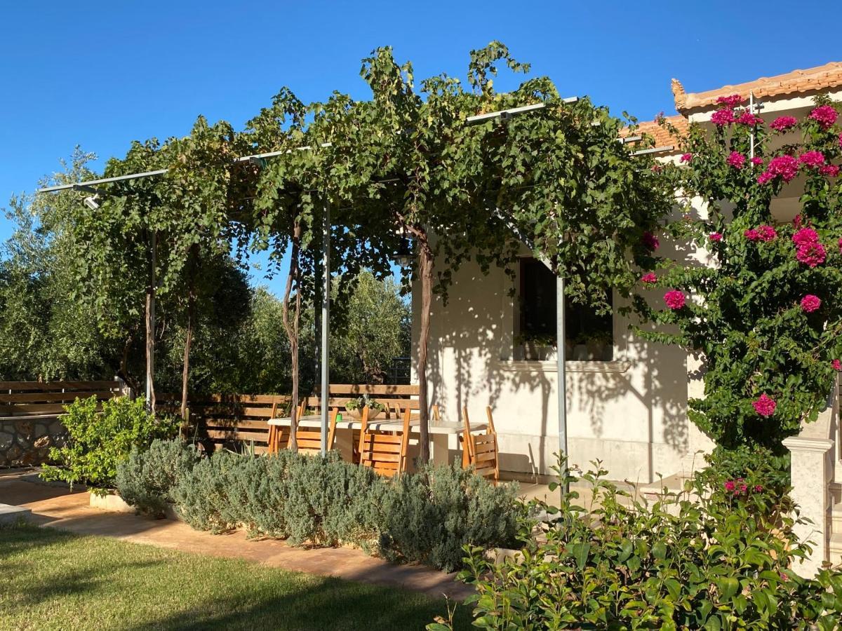 Villa Serenity Agia Marina  المظهر الخارجي الصورة