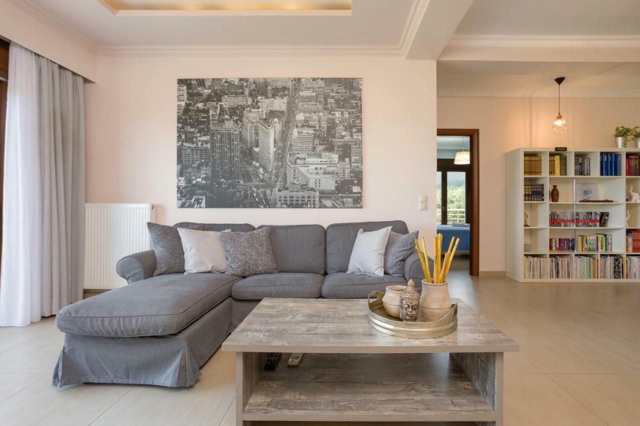 Villa Serenity Agia Marina  المظهر الخارجي الصورة